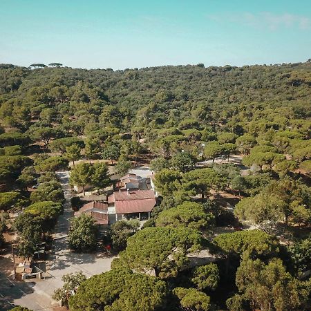 Camping Ladouceur Ramatuelle Exterior foto
