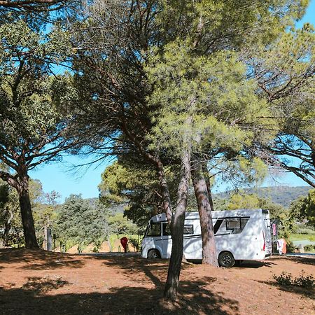 Camping Ladouceur Ramatuelle Exterior foto