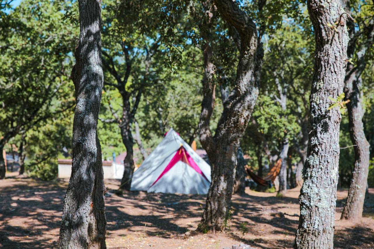 Camping Ladouceur Ramatuelle Exterior foto